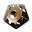Gczxt.png